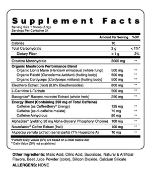 Kinetic Pre Workout - Bemoxie Supplements